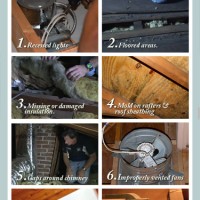 8 Things to Look for in your Attic This Autumn