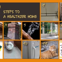 healthy home