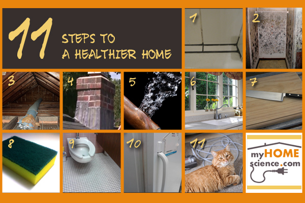 11 Steps to a Healthier Home