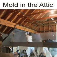 air sealing attic mold prevention
