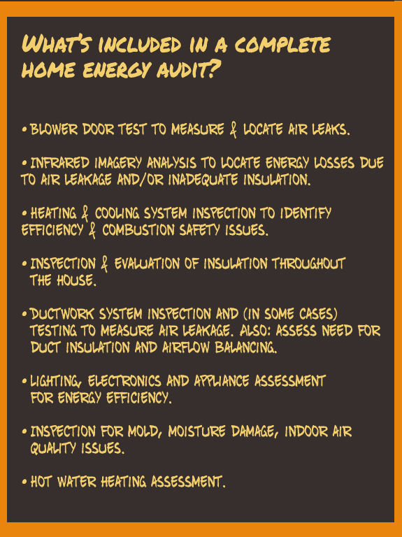 Why pay for a home energy audit? - My Home Science