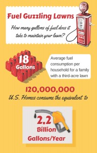 Lawn fuel consumption in the US