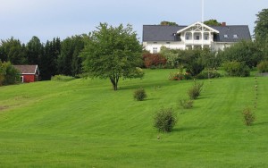 Home with oversized lawn